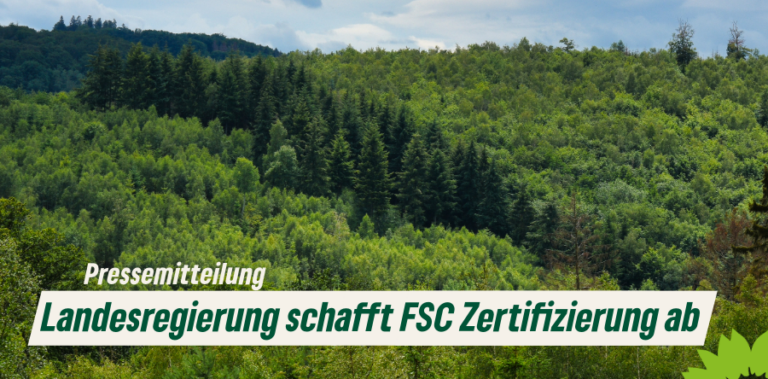 Landesregierung schafft FSC im Staatswald ab